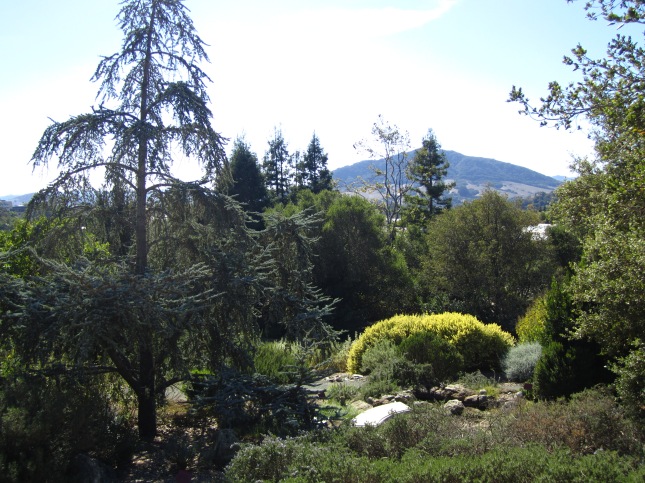 Leaning Pine Arboretum